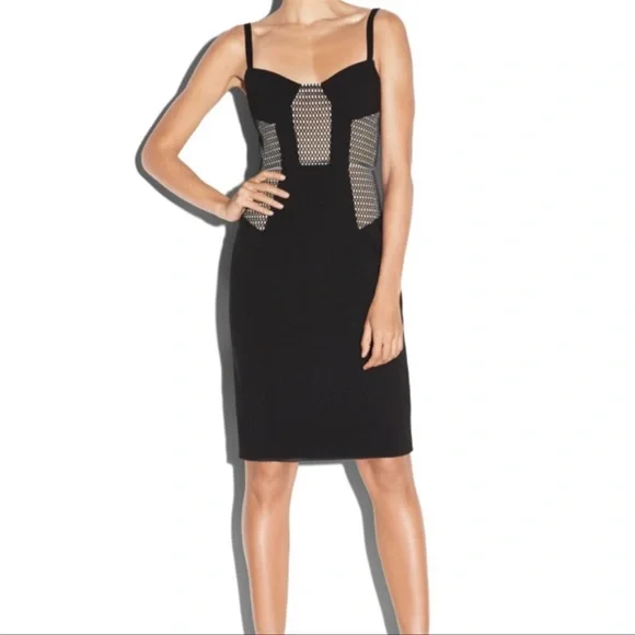 Milly Couture Mesh Bustier dress (size 2) like new